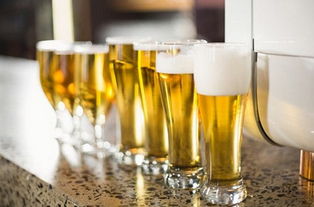 巴西啤酒厂数量激增 三年翻倍拉动就业与酒类市场繁荣